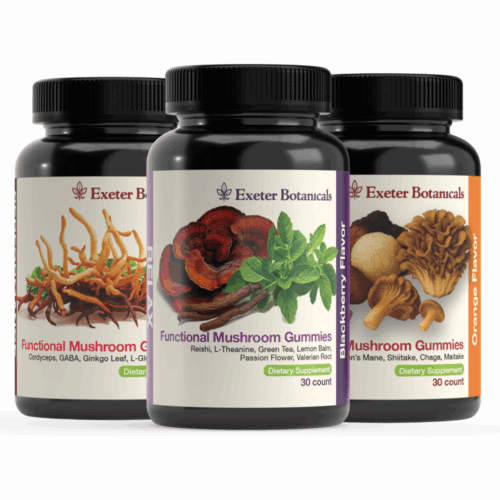 Functional Mushroom Gummies Bundle